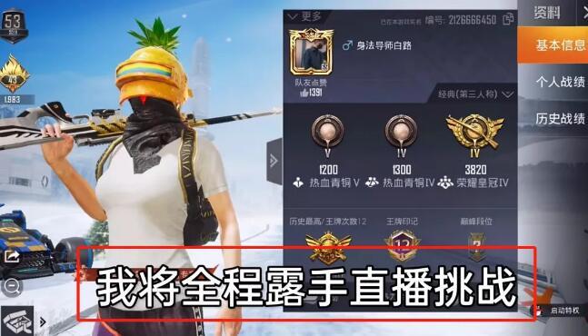 和平精英辅助【哪吒容器直装】全图透视 观战透视 增加爆率 锁死自瞄 掩体漏打 物资显示